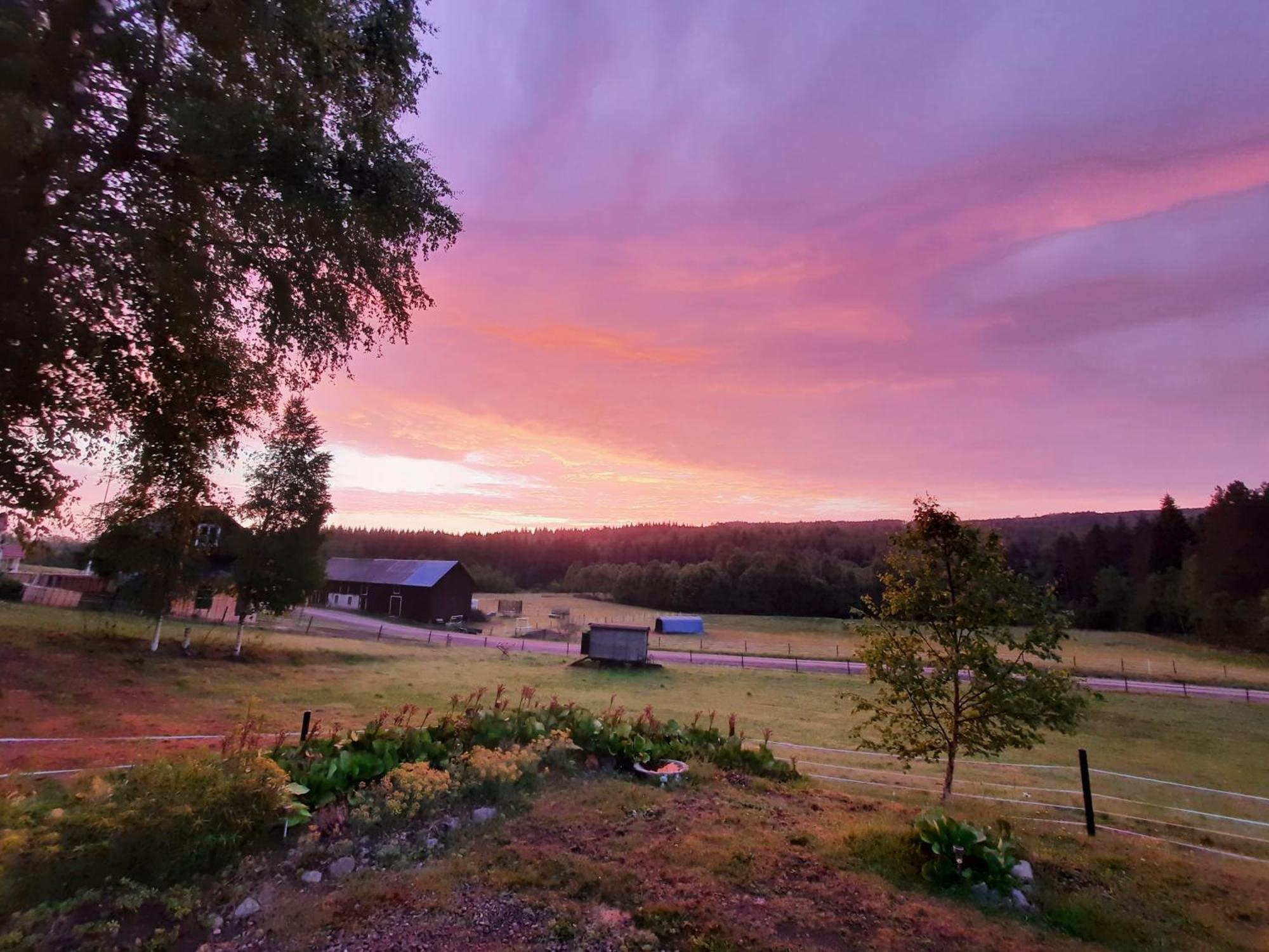 Gemuetliche Blockhuette Fuer Auszeit In Torsby Auf Einem Bauernhof Villa Exterior photo