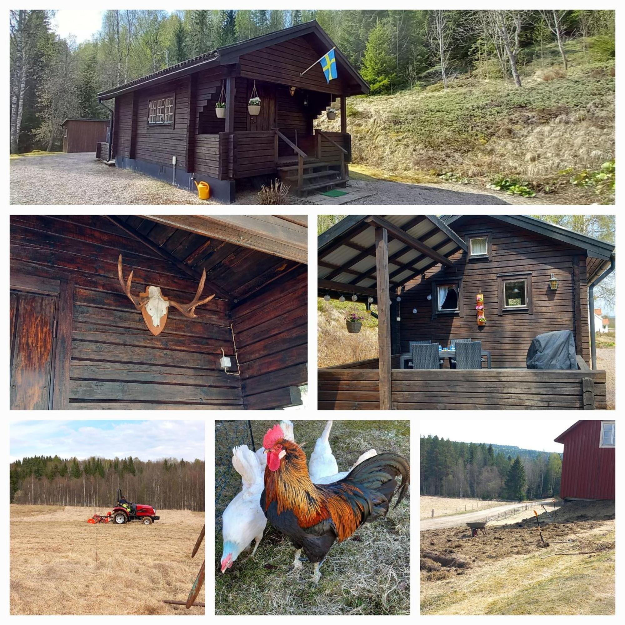 Gemuetliche Blockhuette Fuer Auszeit In Torsby Auf Einem Bauernhof Villa Exterior photo