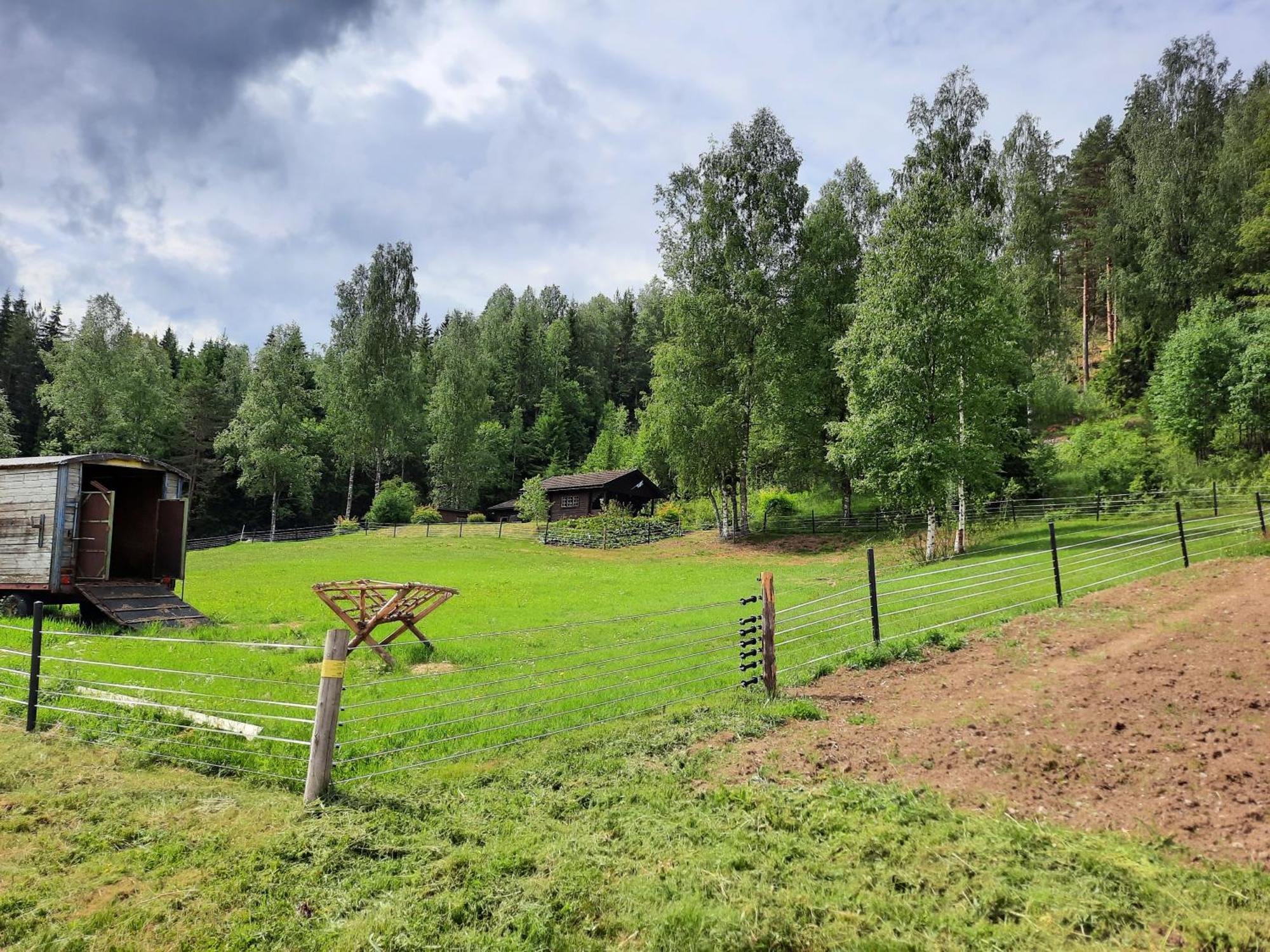 Gemuetliche Blockhuette Fuer Auszeit In Torsby Auf Einem Bauernhof Villa Exterior photo